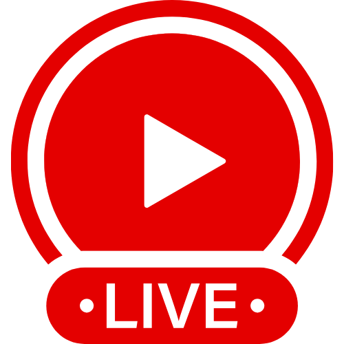 What Is Femdon | Live Webcam Shows & Interactive Adult Entertainment